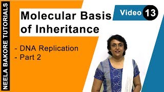 Celebrity Molecular Basis of Inheritance | NEET | DNA Replication - Part 2 | Neela Bakore Tutorials Net Worth