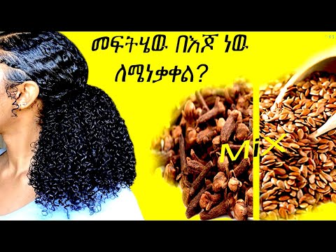 ቪዲዮ: Ficus ትንሽ-ቅጠል፡የእርሻ እና የእንክብካቤ ህጎች