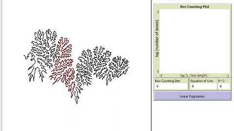 Box-counting applied to ammonoid suture
