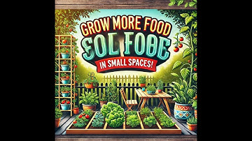 How to Grow More Food in Small Spaces | Maximize Your Harvest!