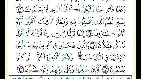 ختمة تلاوة لمصحف التجويد بصوت القارئ محمد حبش الصفحة رقم 271