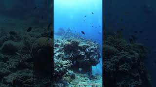 Dive at Guard House of Sumilon, Liloan on April 10, 2026A