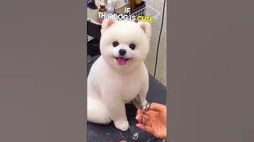 Can You Bite Off A FINGER Like A Carrot 🥕
