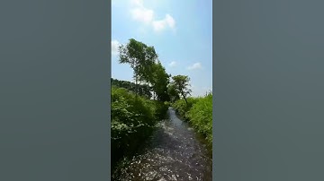 Cinelog 35 V2 HD03 fly on the water #cinelog35v2 #djiintegra #dji03airunit🔥 #fpvdrone #fpvlife