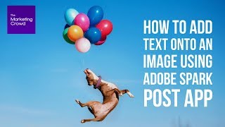 How to add text onto an image using Adobe Spark Post app