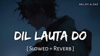 Dil Lauta Do - Lofi (Slowed   Reverb) | Jubin Nautiyal,  Payal Dev | RN Lofi Alone