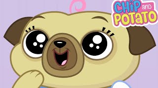 Chip and Potato | Chips Awesome Haircut | Cartoons For Kids | Watch More on Netflix