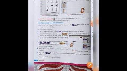 Class-6th , Chapter-7(More About Scratch) B-2 , Chapter Explanation