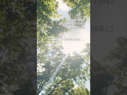 햇살 좋은 날, 선루프를 잊지 말아요