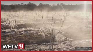 Florida fruit growers prepare to ice their trees to save their farms