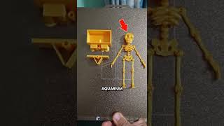 This 3D Printed Skeleton Is So Cool