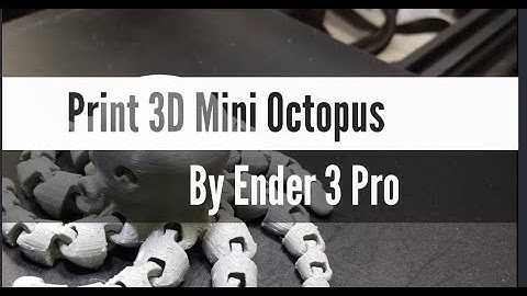 3D Print | Timelapse video Mini Octopus.