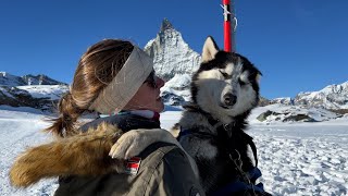 HUSKY Abenteuer am Matterhorn! Schlittenhunde in der Schweiz | Atemberaubende Winterlandschaft