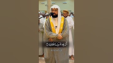 سورة الضحى Surah Ad-Duhaa #عبدالولي_الاركاني #abdulwali_alarkani