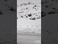 كردستان عشق هولير
