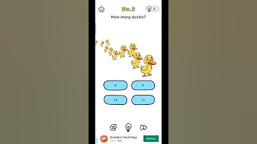 Brain Out Level 2 || How Many Ducks? || Solution