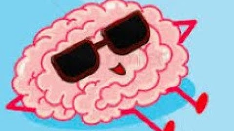 Nonfiction Text Structures