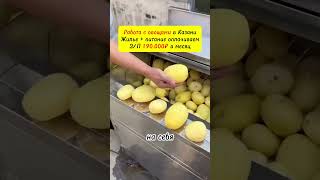 Новая работа в Казани. Вакансия в Казани. Подробности в телеграм @tut_jobs. #работа #вакансия #вахта