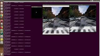 Robotic Vision HW 4: Optical Flow, Canyon Following, Optical Avoidance OpenCV
