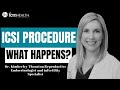ICSI Procedure: A Step-by-Step Guide