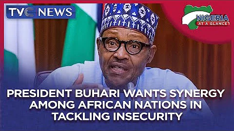 [Nigeria At A Glance] President Buhari Wants Synergy Among African Nations In Tackling Insecurity
