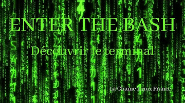 Enter the bash : Découverte du terminal