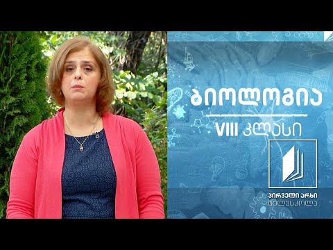 ბიოლოგია, VIII კლასი -კუნთოვანი სისტემა - აგებულება და ფუნქციები #ტელესკოლა