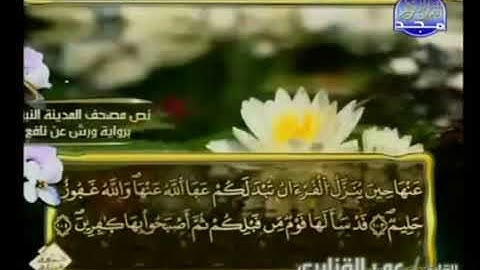 الجزء السابع من القرآن الكريم بصوت الشيخ عمر القزابري