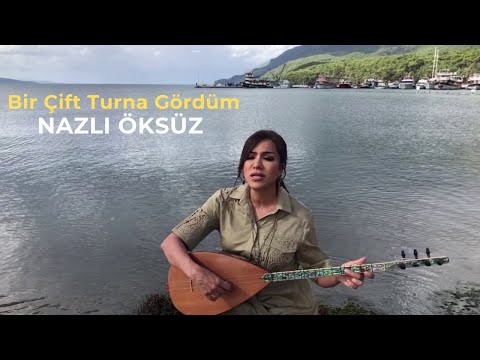 NAZLI ÖKSÜZ - Bir Çift Turna Gördüm | Yozgat | Akustik