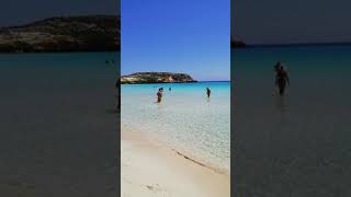 isola dei conigli Lampedusa #lampedusa #isoladeiconigli #spiaggiadeiconigli #sicily#rabbitbeach #