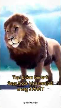 story' wa singa