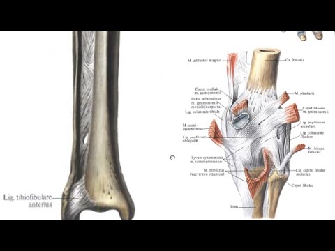 Yigitlar jim bolgunlaricha silkitadilar Yigitlar jim bolgunlaricha silkitadilar