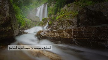 سورة الفتح للقارئ محمد عبدالعزيز الشامي، من صلاة التراويح - رمضان ١٤٤٤ هـ