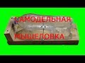 Самодельная  мышеловка из пластиковой бутылки