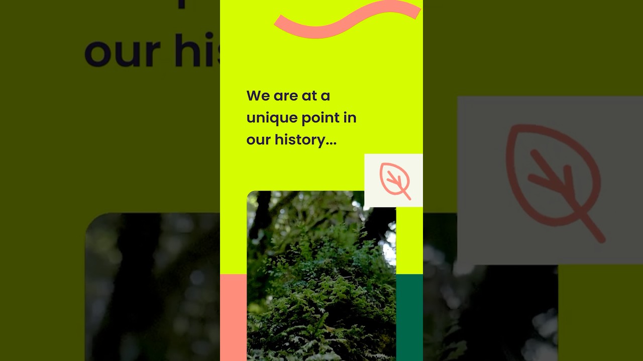 Showcasing - Young Climate Warriors Climate Change Assemblies