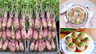 No Garden Needed: Here's How I Grow Radishes At Home And Make Delicious Dishes My Whole Family Loves