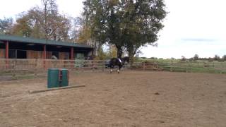 Pembridge mayhill flatwork