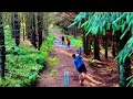 We Played CRICKET in a FOREST! 🌲🌲 Backyard World Tour #2