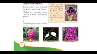 FLOWER TO FLOWER PART 4 BASIC SCIENCE STANDARD 6