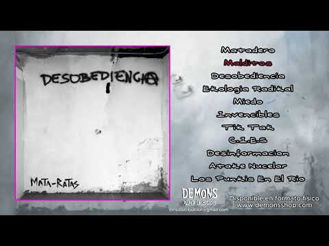 Desobediencia artwork