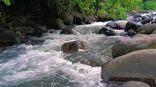 1 Relaxing Hour The Sound of Beautiful River Water Flowing Soothes the Mind, Deep Sleep, Meditation