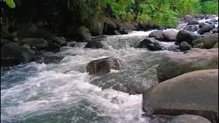 1 Relaxing Hour The Sound of Beautiful River Water Flowing Soothes the Mind, Deep Sleep, Meditation