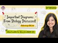 Important Diagrams from Biology for Class 10 | Must watch for Boards 2023-24