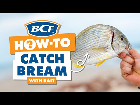 Video: What To Catch Bream In March
