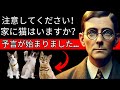 エドガー・ケイシーが家に猫を飼っている人々に対して予言したことが、すでに始まっています | 全員が衝撃を受けています。🙀
