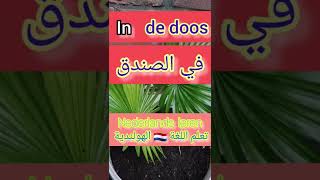 رحلة الألف ميل تبدأ بخطوة لا تعجزوا في تعلم لغة جديدة فالمشوار طويل ?? #تعلم_اللغة_الهولندية #هولندي