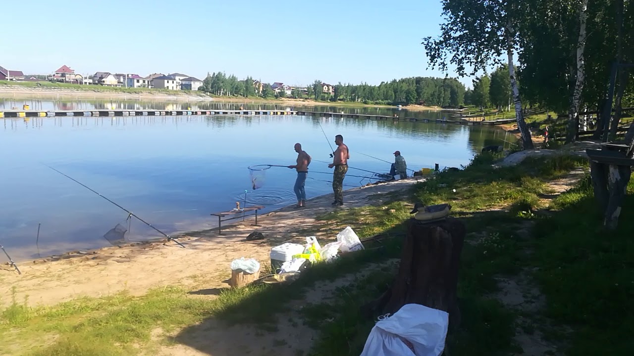 триал русская рыбалка. рыбалка в чеховском районе. отзывы о триал русская рыбалка масново-жуково. платная рыбалка триал чеховский район. триал платная рыбалка.