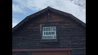 Burt's Pumpkin Farm