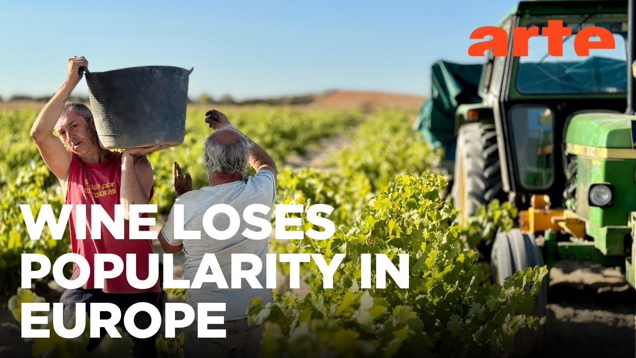 Can Alcohol-Free Wine Save the Industry? | ARTE.tv Documentary