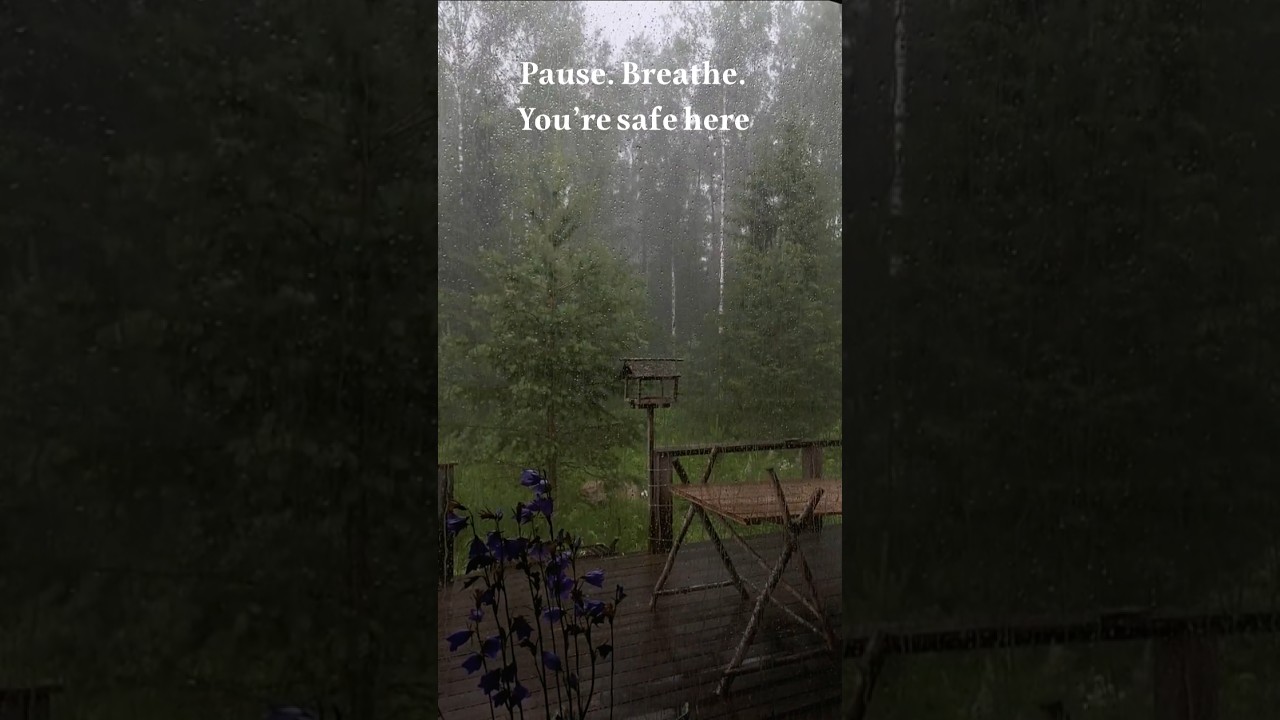 Deep Sleep Rain Sounds & Thunderstorm | Real Natural White Noise for Focus & Calm